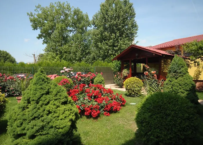 Valul Magic Hotel Eforie Nord